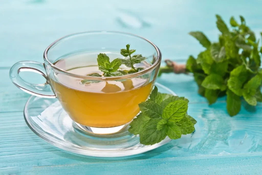 Mint Properties: Health Benefits, Uses, and Precautions